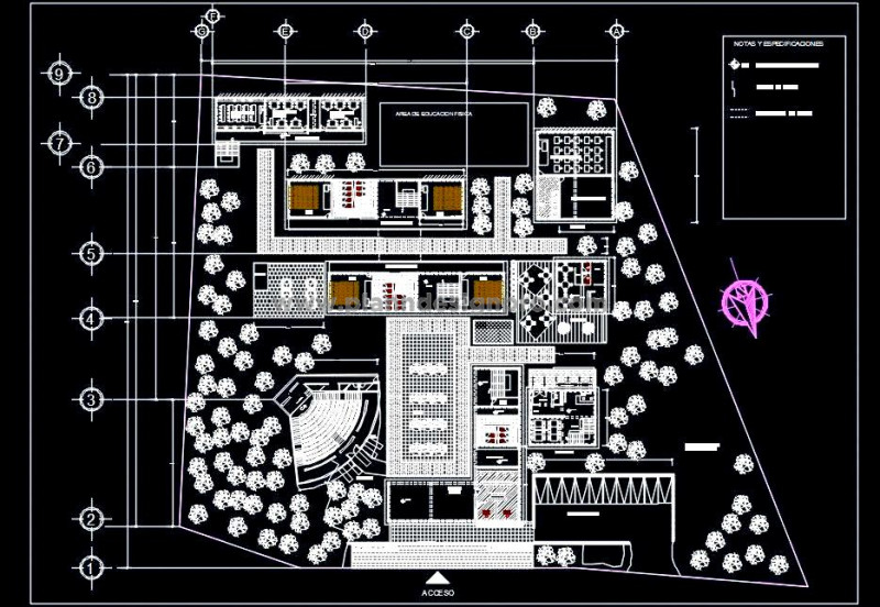 School Architectural Design CAD-  Space Planning Layout